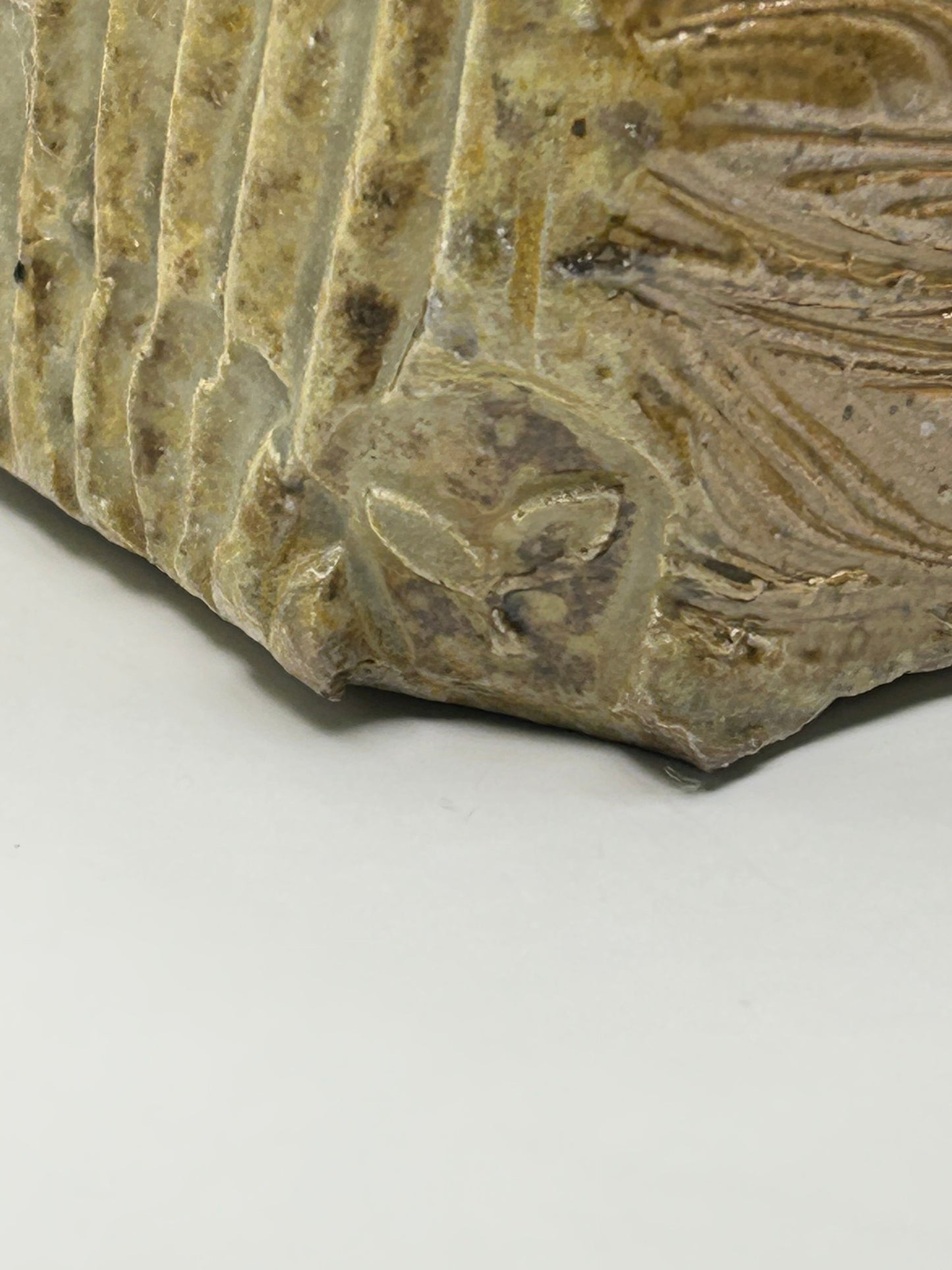 Wire Cut Box (30)